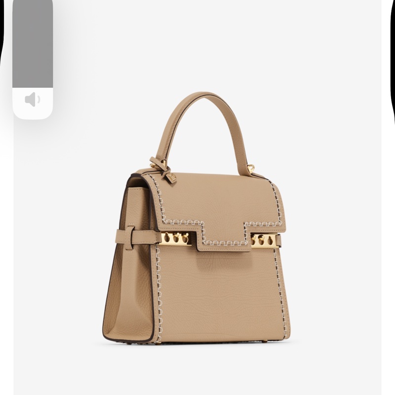 DELVAUX Tempête PM Leather Harmony手提肩背包-0