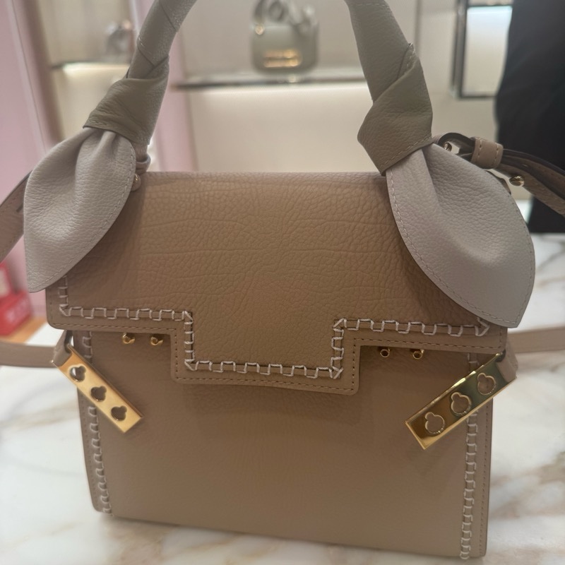 DELVAUX Tempête PM Leather Harmony手提肩背包-8
