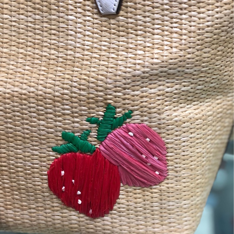 Kate Spade Picnic in the Park Small Tote NWT-3