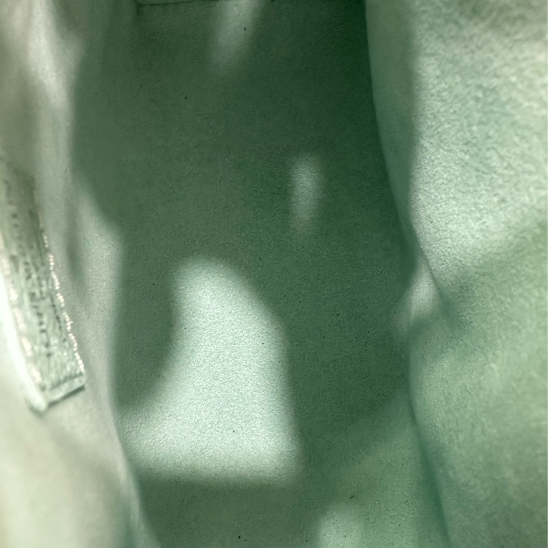 LV speedy nano 薄荷色 芯片款 99新 有塵袋-6