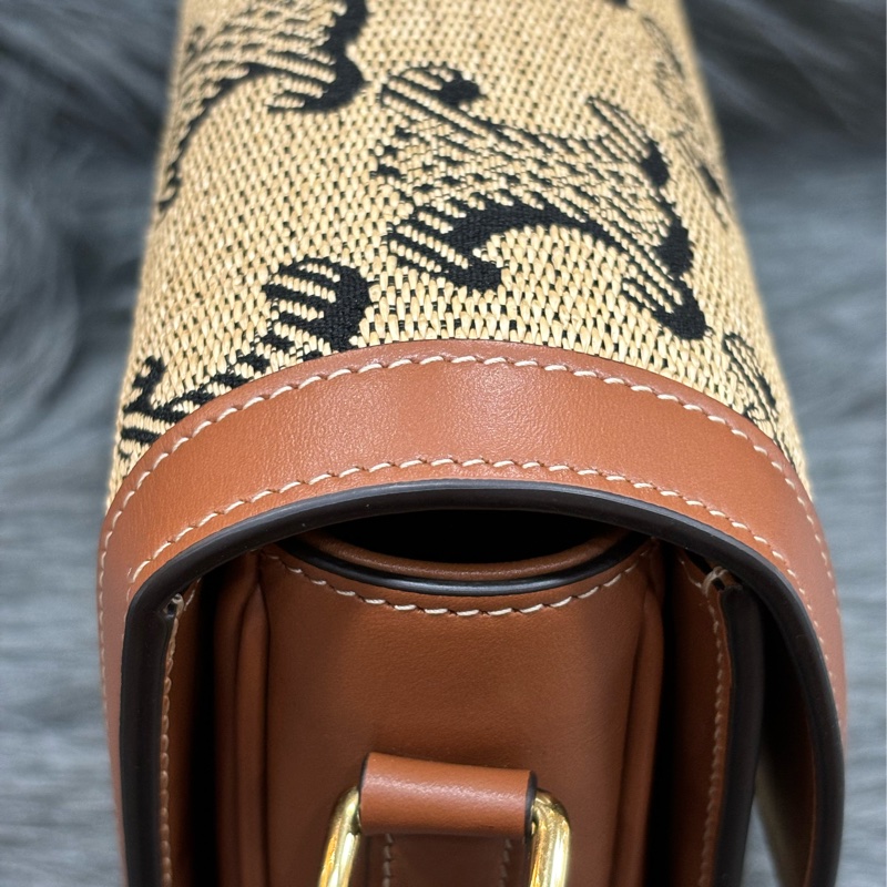 CELINE 191242 SAC TRIOMPHE MOYEN RAPHIA 凱旋門 金釦 刺繡 相機包 信差包 斜背包-2
