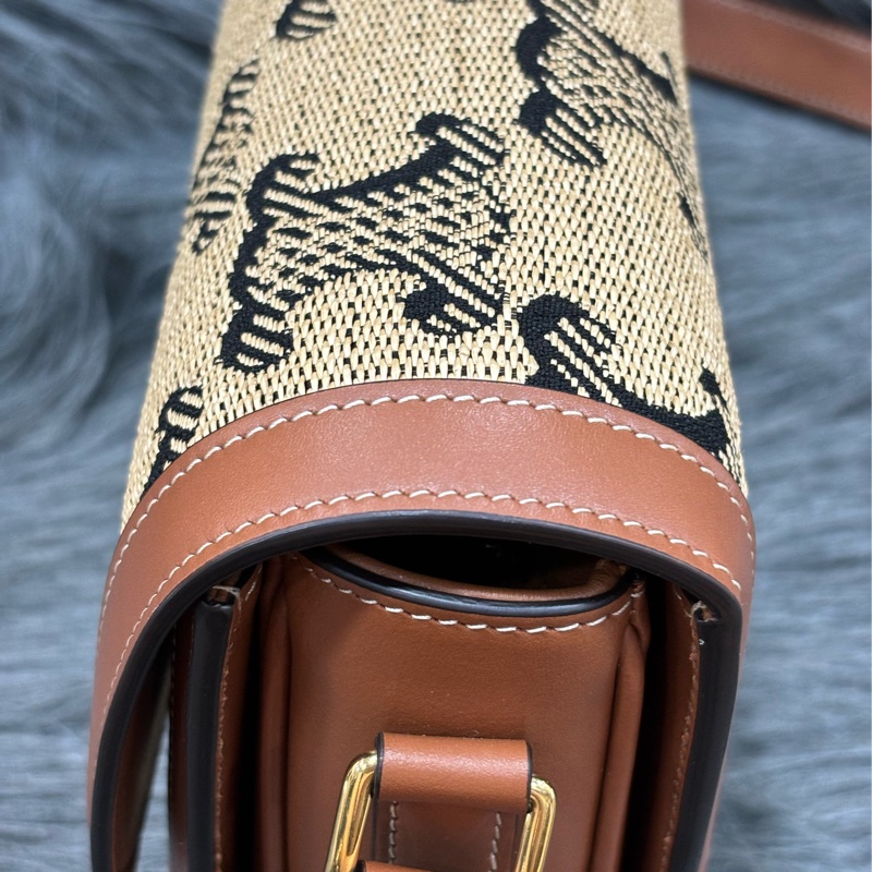 CELINE 191242 SAC TRIOMPHE MOYEN RAPHIA 凱旋門 金釦 刺繡 相機包 信差包 斜背包-5