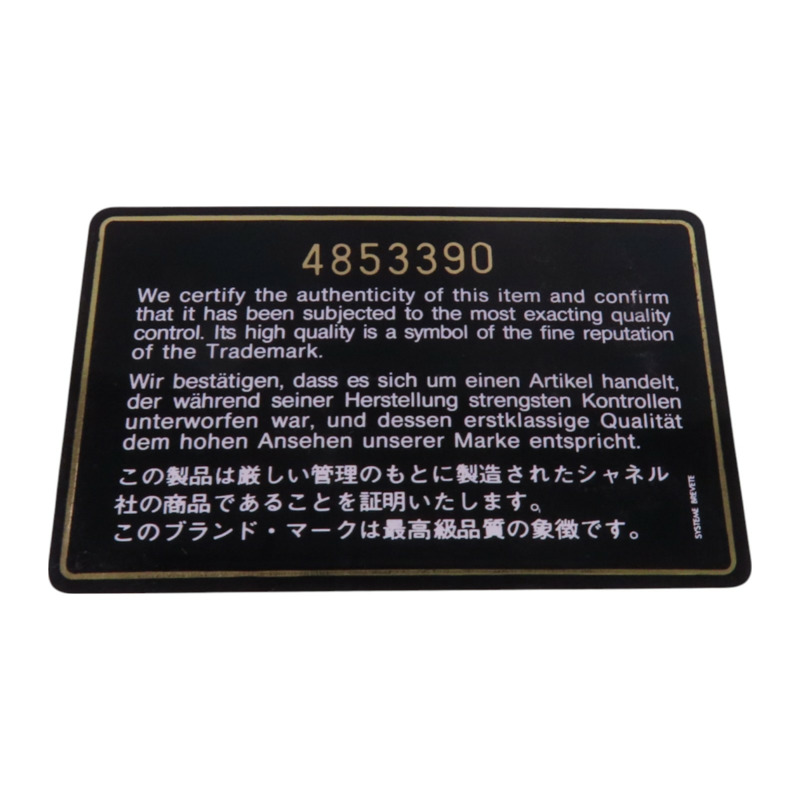 CHANEL 牛皮皮革Vintage Vanity金扣手挽袋-8