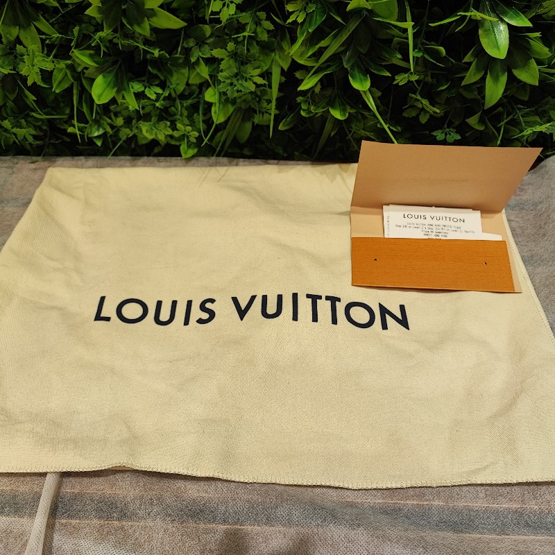 Louis Vuitton Carry Cargo Vibe PM-24