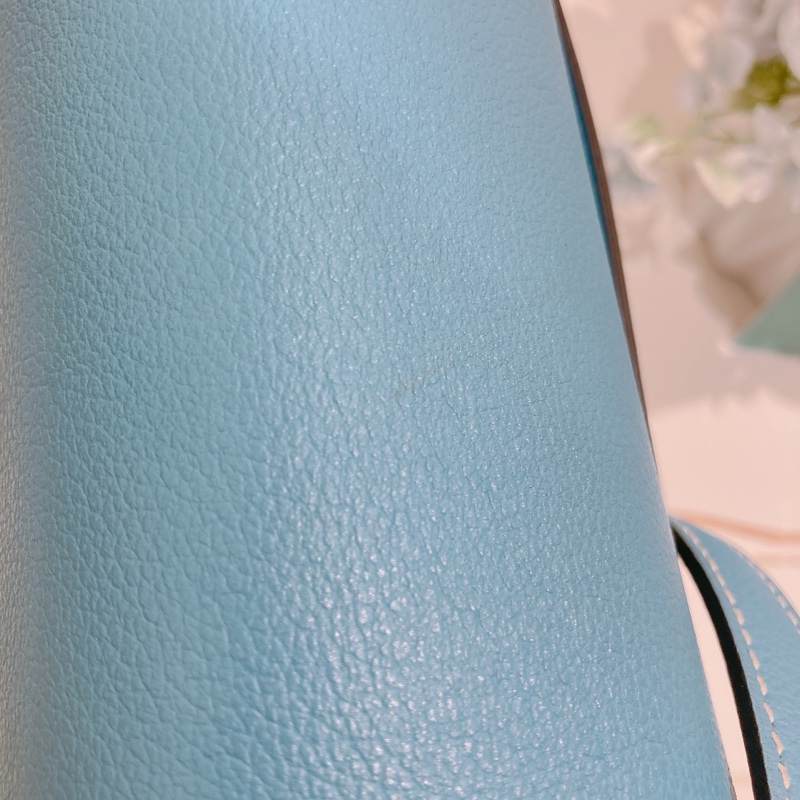 TW4309 HERMES 愛馬仕中號豬鼻肩帶包包ROULIS 23 BAG EVERCOLOR Stamp U-12