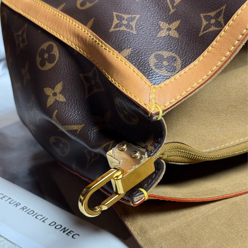 (全平台唯一)LV 2024走秀款 DAUPHINE SOFT ✨最新晶片款-18