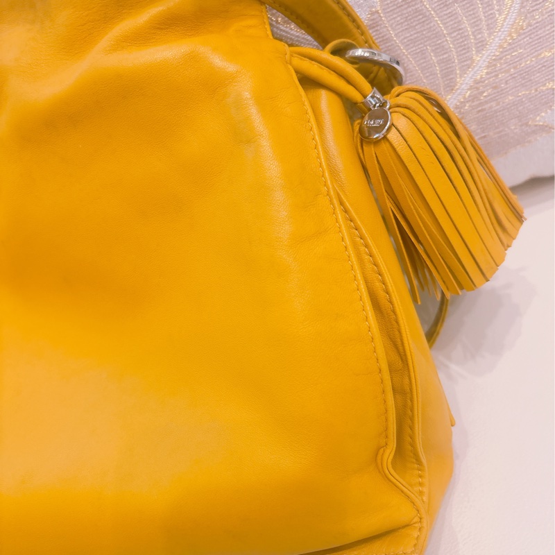 Loewe斜背、側背兩用包-5