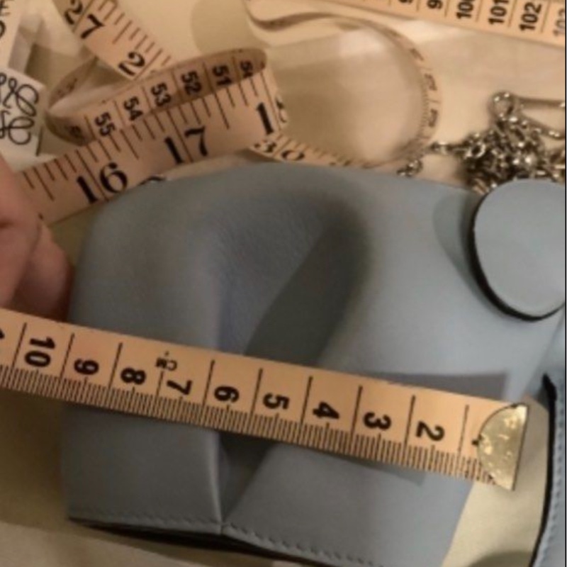 Loewe 大象包Elephant Pouch in classic calfskin小廢包-7