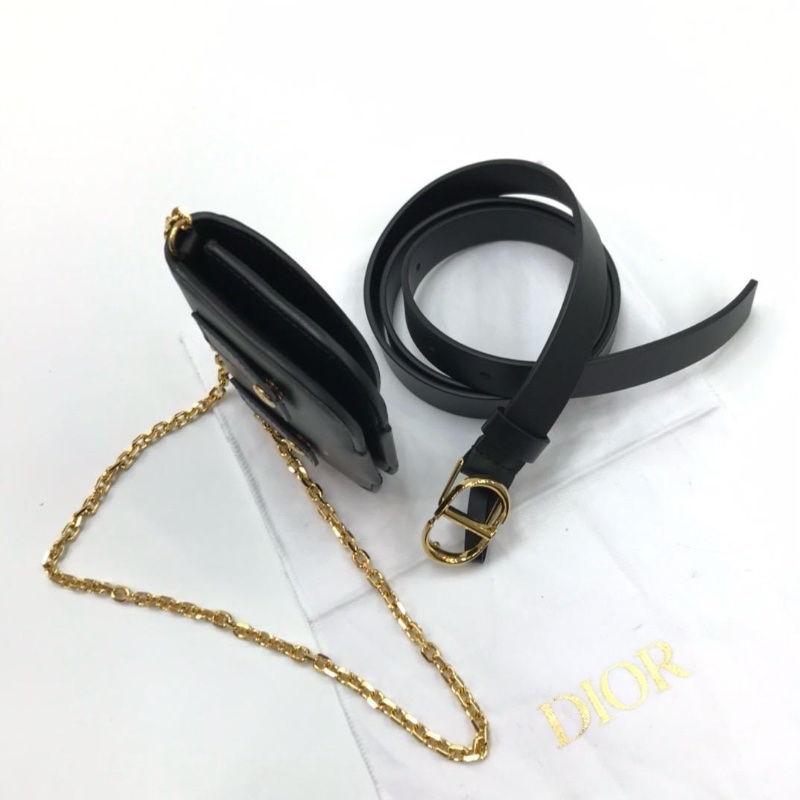 Dior pouch bag-4