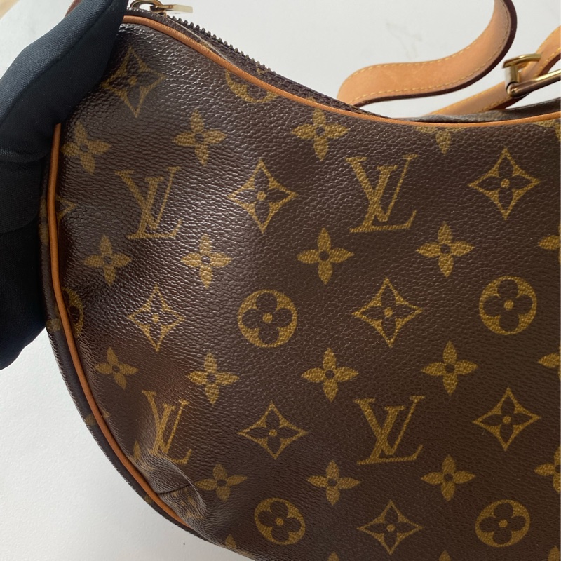 🏷️Lv 經典老花碗豆包-3