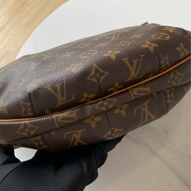 🏷️Lv 經典老花碗豆包-5