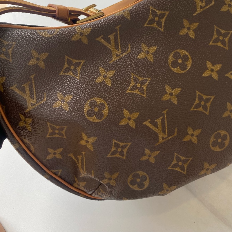 🏷️Lv 經典老花碗豆包-8