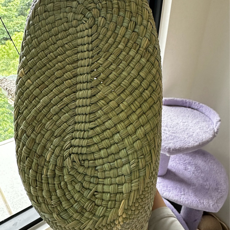 Loewe湖水綠草編大包-5