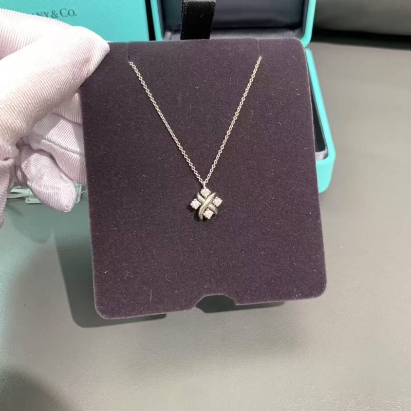 Tiffany 蒂芙尼  lynn 白金鑲鑽項鍊-3