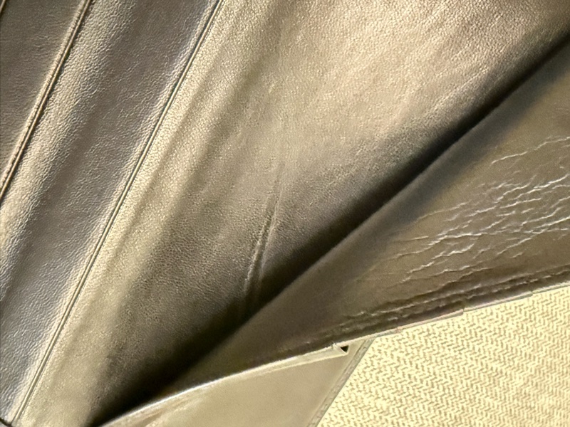 真品 LOEWE Nappa納帕小羔羊皮長夾-15