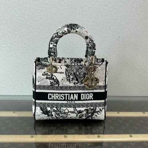 ✨DIOR 黛妃十二星座印花刺繡手提包 24*20*12  99新配件塵袋