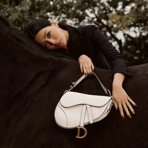 DIOR 白金馬鞍手提肩背腋下包中號23*21*6 98新配件塵袋
