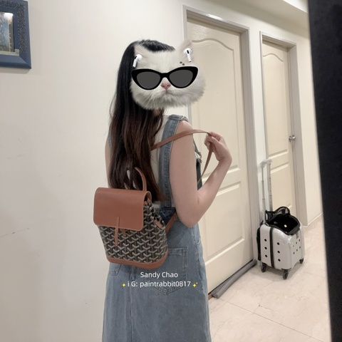 ෆ Goyard Alpin 後背包