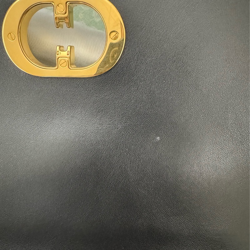 Soft Dior Cato 黑色藤格紋羊皮包-39