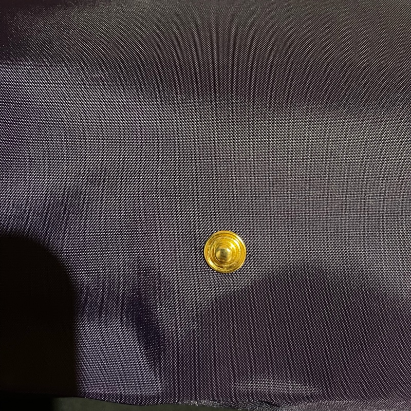 Long champ 紫色手提水餃包-18