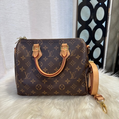 LV Speedy25 老花波士頓包 晶片款