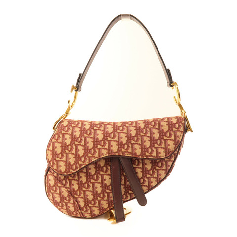 Dior 帆布Saddle Bag金扣肩背袋