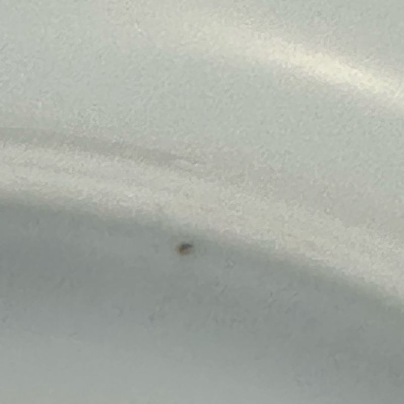 hermes愛馬仕 瓷器套装coffret enfant epopee 獨角獸動物園 嬰兒禮品四件套 閒置新 未使用品-16