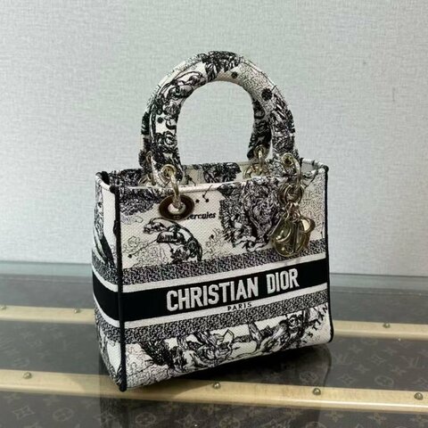 ✨DIOR 黛妃十二星座印花刺繡手提包 24*20*12 99新配件塵袋