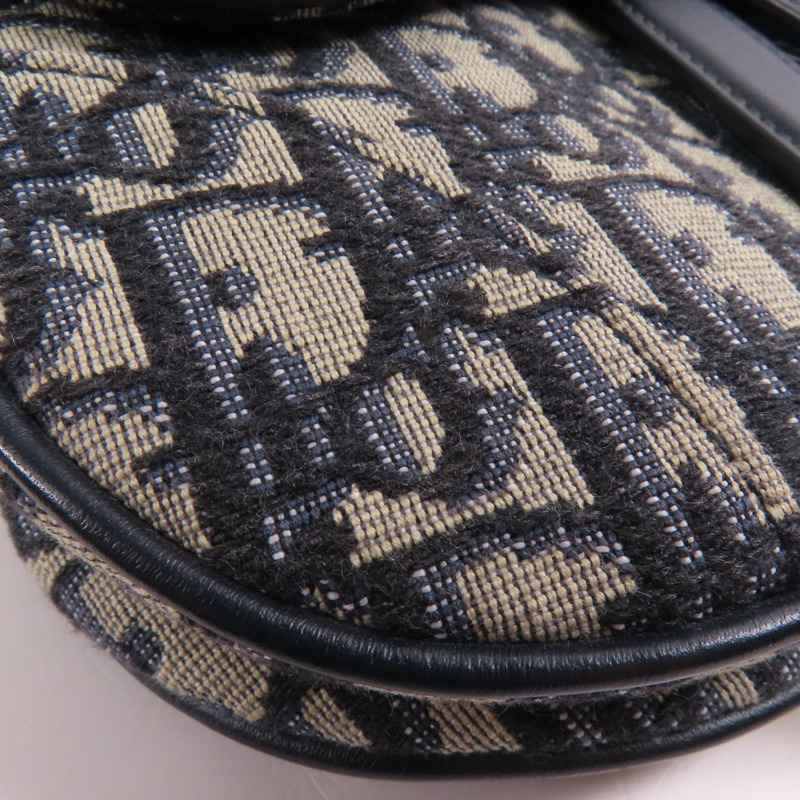 Dior 帆布Mini Saddle金扣手挽袋-5