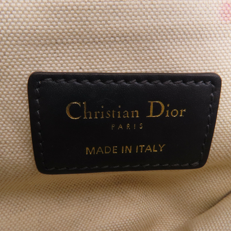 Dior 帆布Mini Saddle金扣手挽袋-12