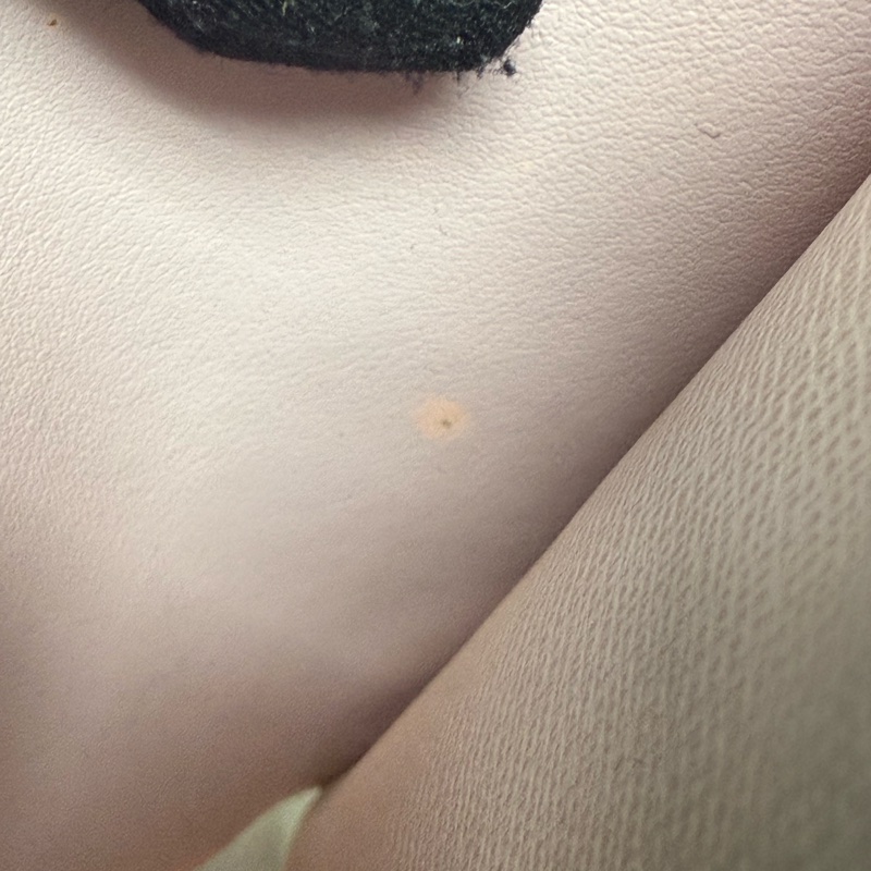 Louis vuttion Victorine 錢包 米白色棋盤格-11