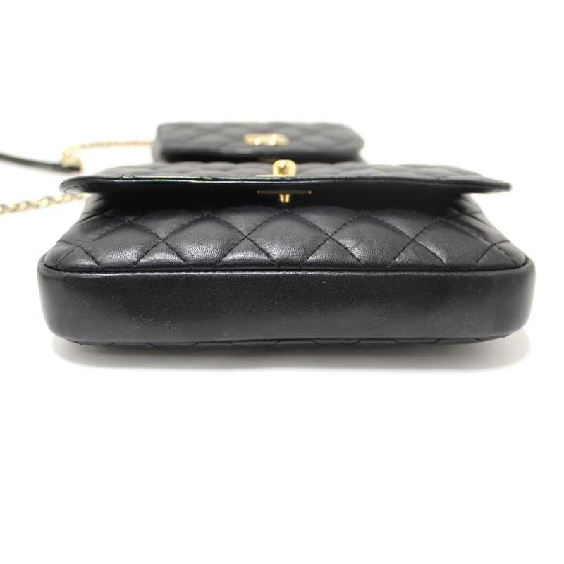 Chanel Black Quilted Calfskin Leather Double Side Pack Flap Bag-6