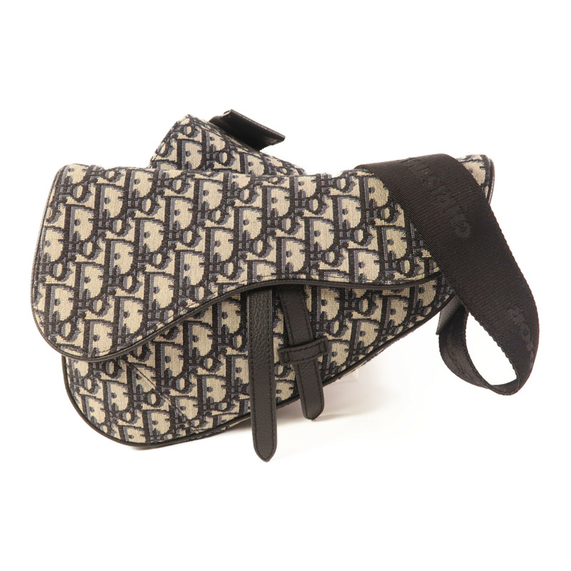 Dior 帆布Saddle Bag銀扣肩背袋-0