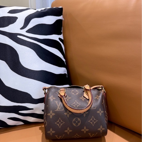 LV speedy nano 老款