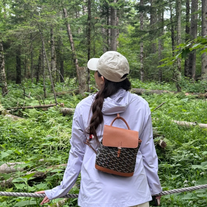 Goyard 雙肩小書包alpin mini-12