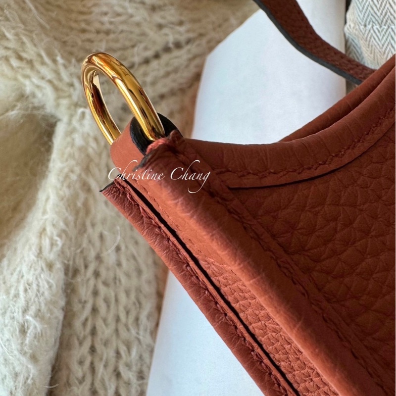 Hermes mini Evelyne-11