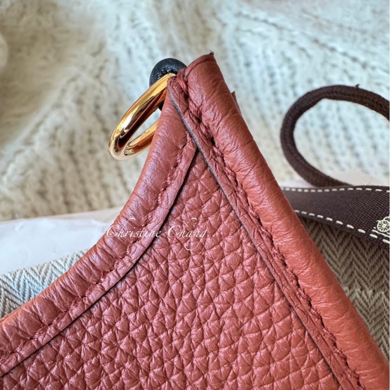 Hermes mini Evelyne-12