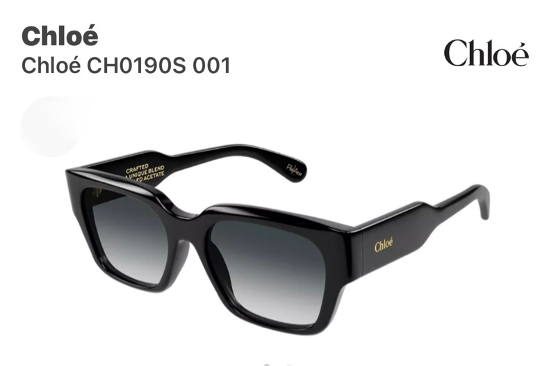 Chloé CH0190S 001Chloe’ 蔻依 -太陽眼鏡 經典款 CH0190S 001 54 18-145 M  ⚠️售出不做退換貨-0