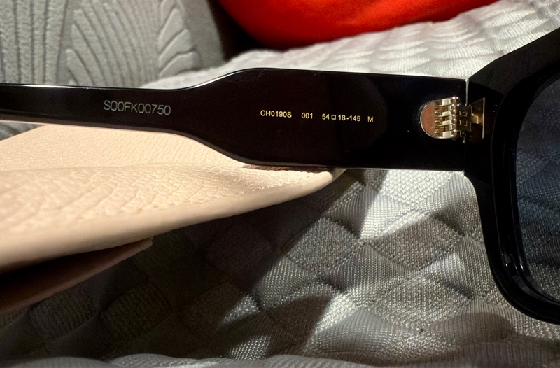 Chloé CH0190S 001Chloe’ 蔻依 -太陽眼鏡 經典款 CH0190S 001 54 18-145 M  ⚠️售出不做退換貨-8