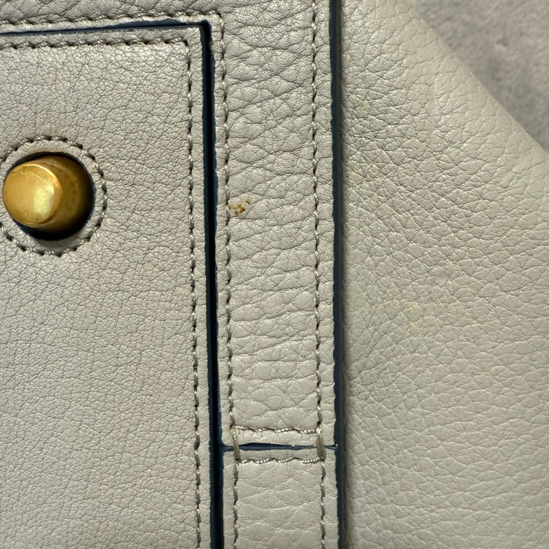 Celine tote bag-7