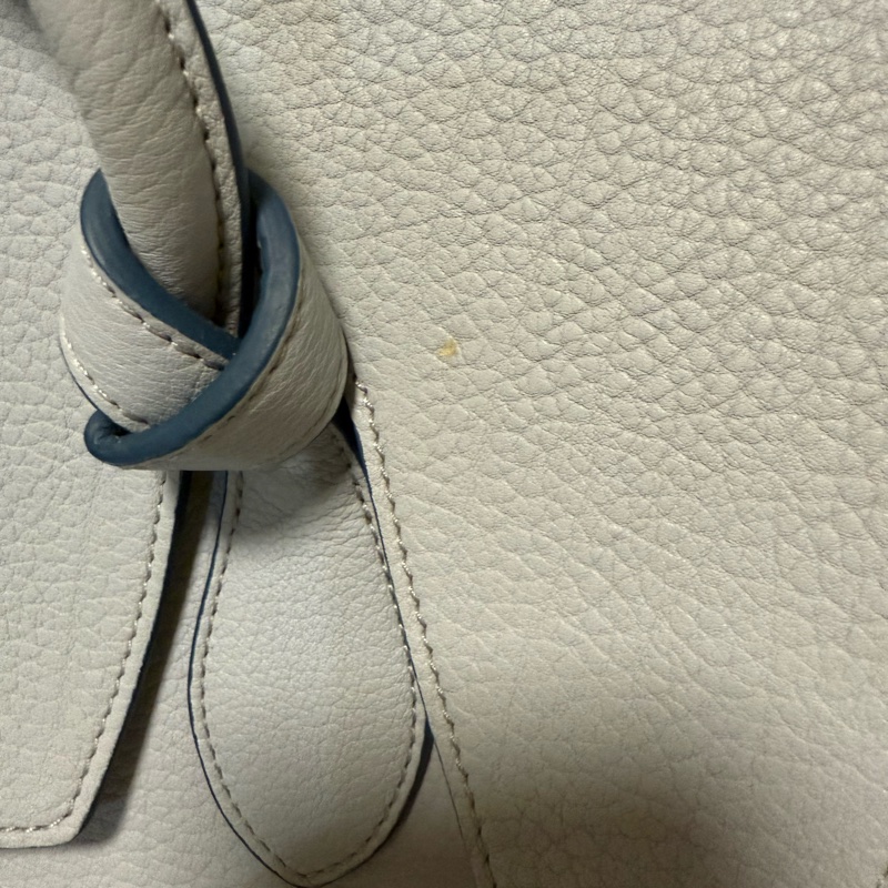 Celine tote bag-10