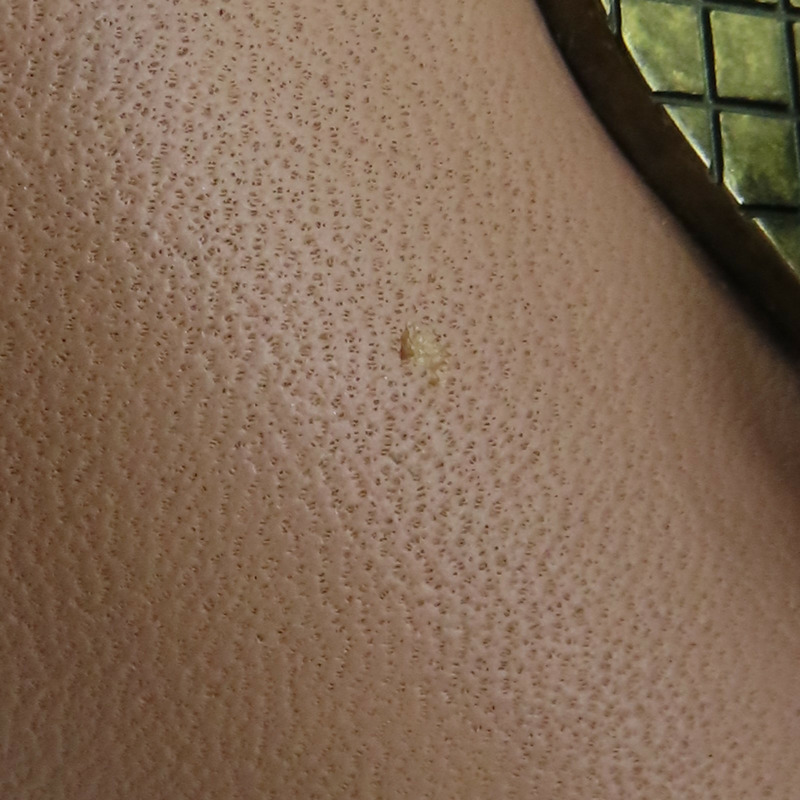 粉膚色/黃色/灰色 牛皮 Mini Piazza 肩背包-14