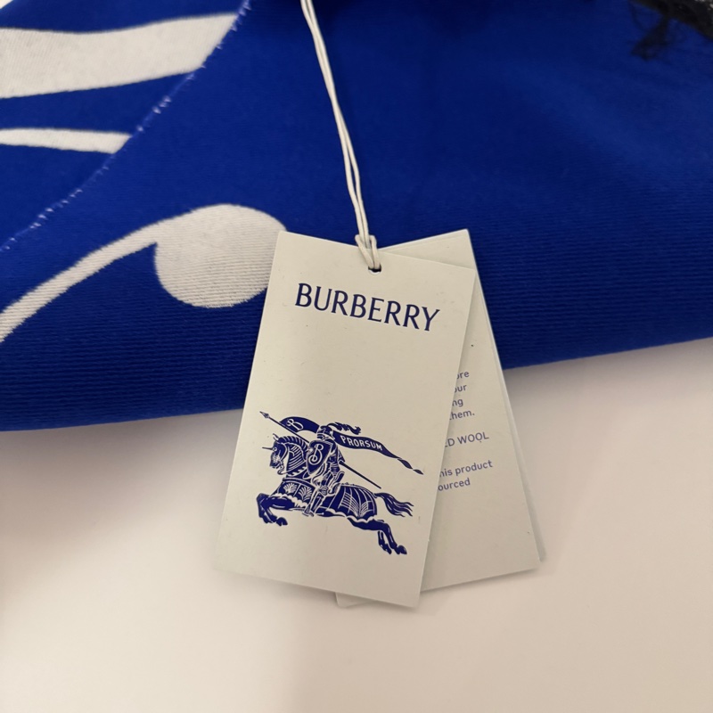 Burberry兩端流蘇裝飾字母刺繡 絨線圍巾 男女同款情侶款 藍色 S24-3