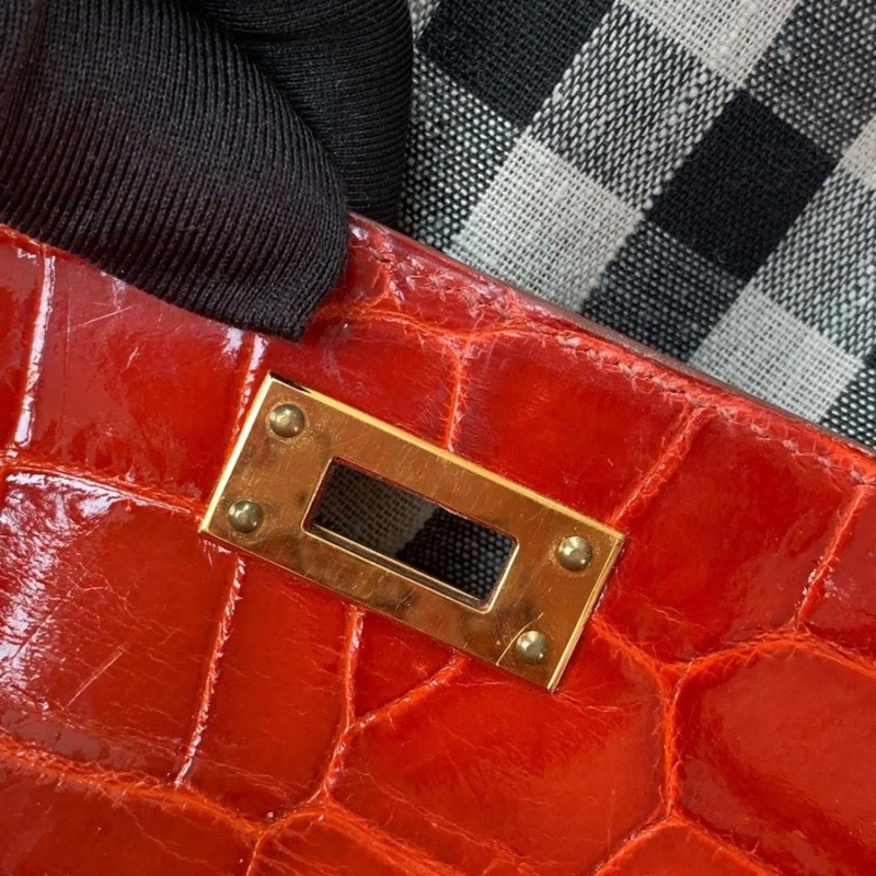 Kelly cut crocodile Color D5 T stamp ghw-13