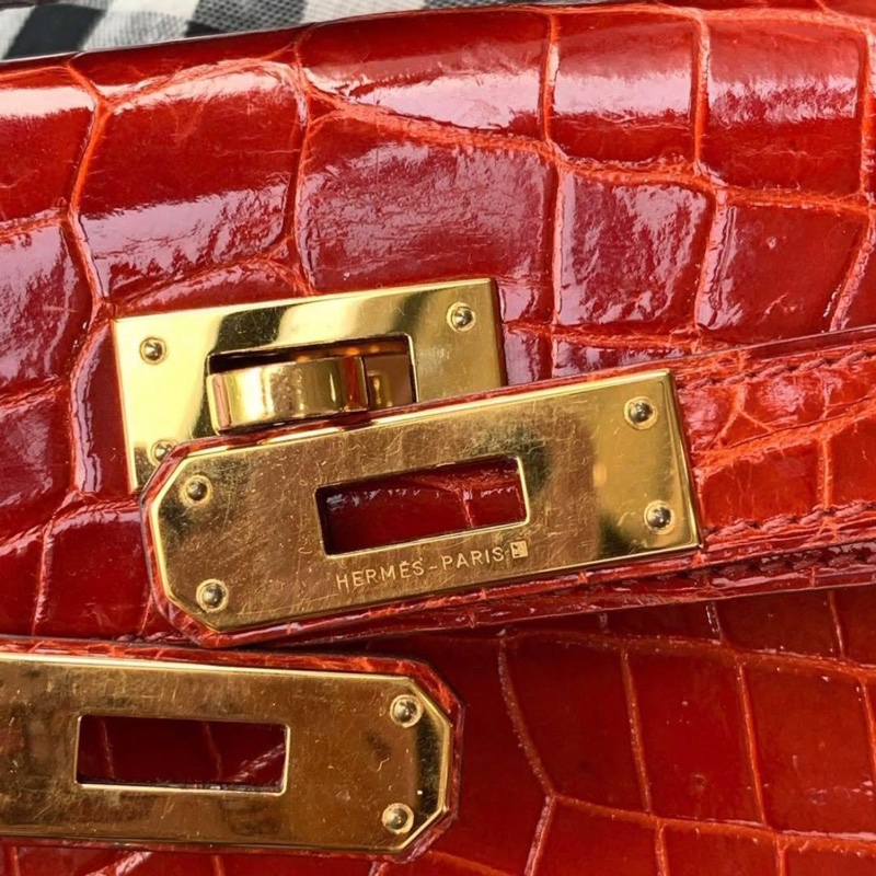 Kelly cut crocodile Color D5 T stamp ghw-19