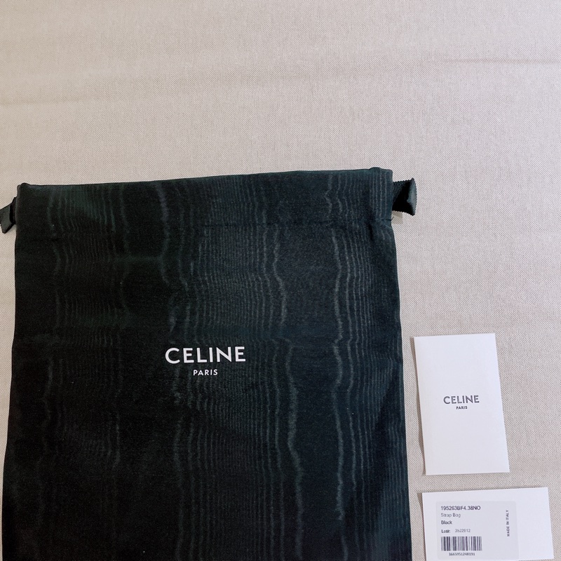 CELINE TRIOMPHE BAG IN SHINY CALFSKIN-12
