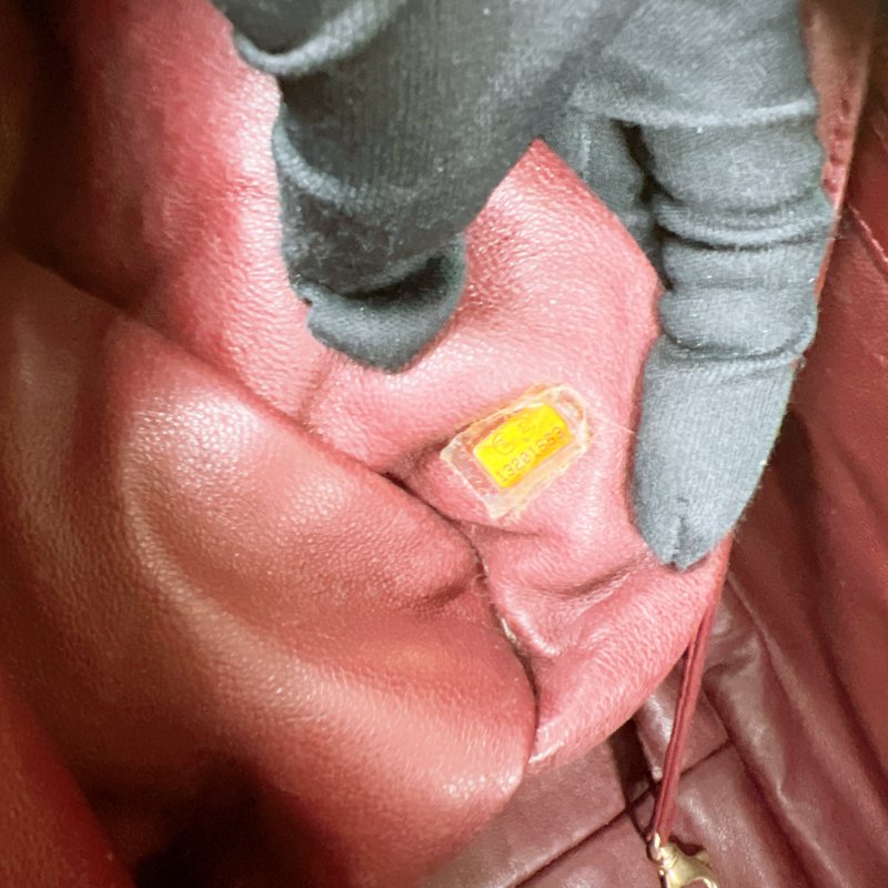 Chanel coco cocoon 淺金手柄手提包/托特包-18