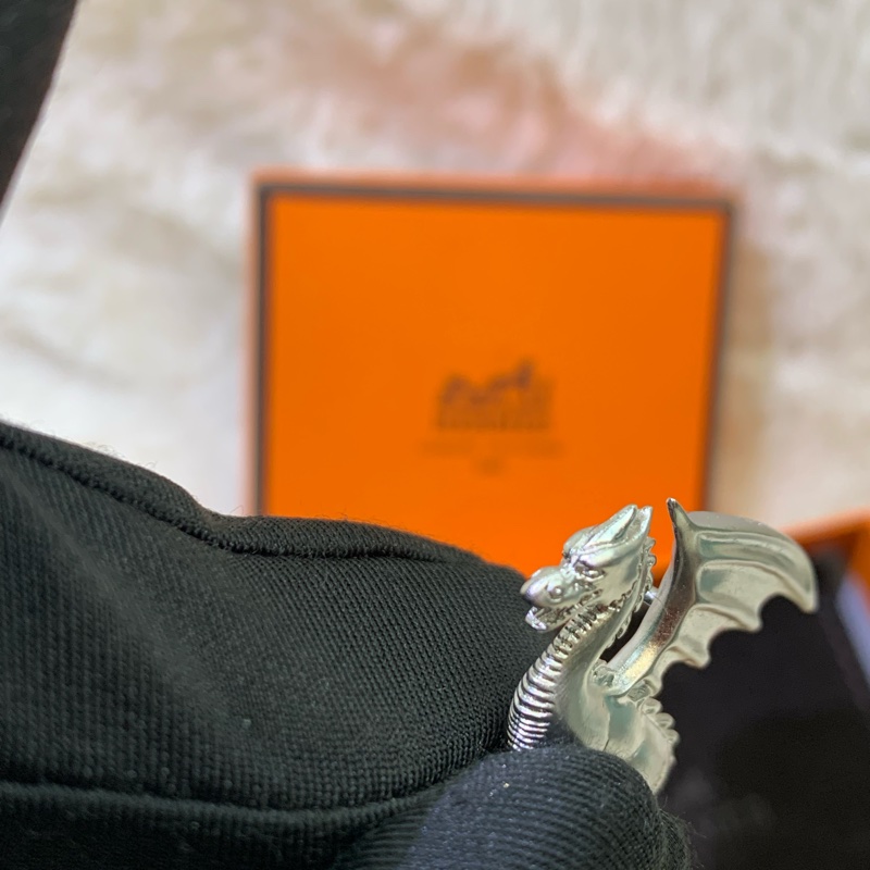 Hermes 愛馬仕 銀色 飛龍胸針 I454-2