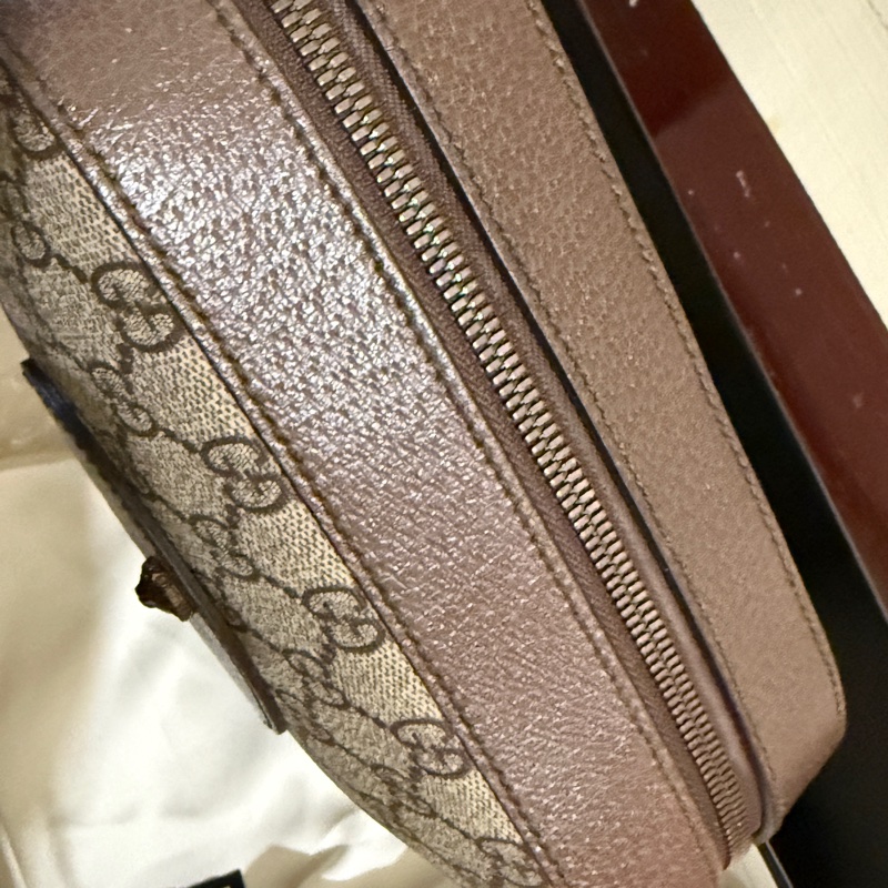 Gucci虎頭包-2