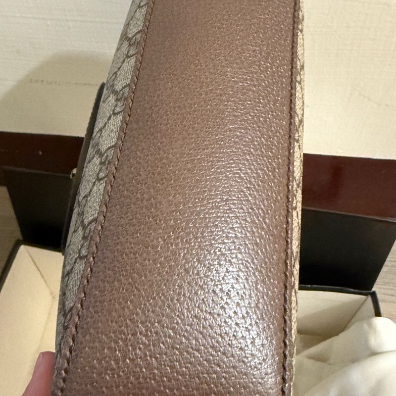Gucci虎頭包-14